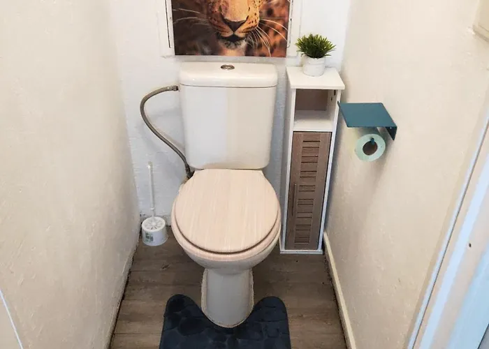La Perle Marine, Cosy Et Renove, 200 M De La Plage, 1 Chambre, Parking Et Wifi Sète